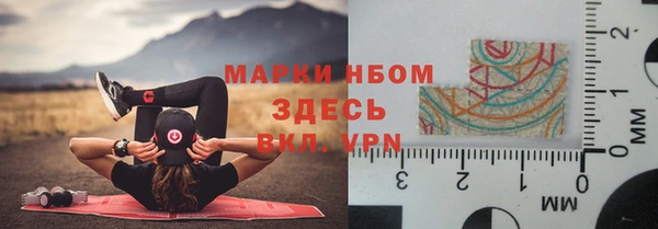 прущие грибы Алзамай