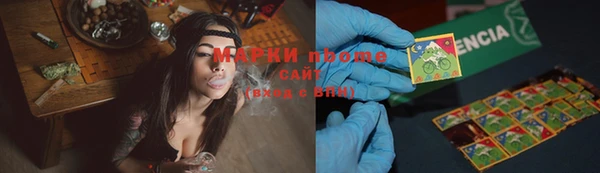 прущие грибы Алзамай