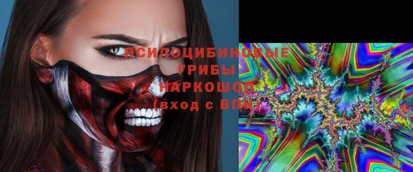 прущие грибы Алзамай