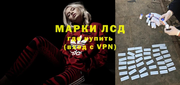 прущие грибы Алзамай
