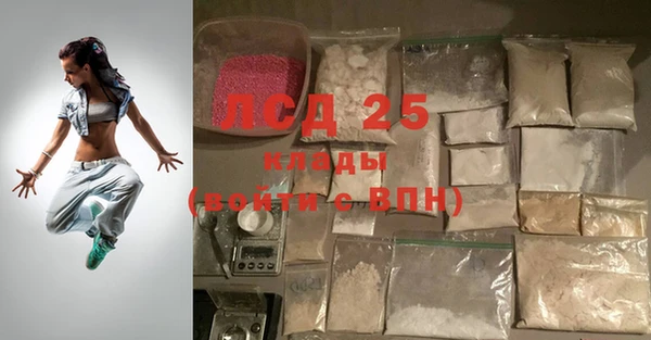 прущие грибы Алзамай